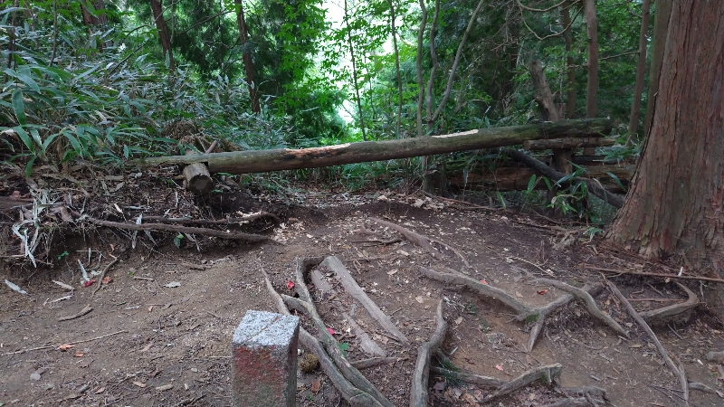 金剛山登山ルート(馬の背ルート)