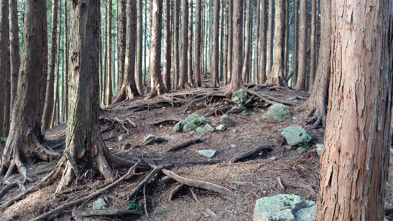 金剛山登山ルート(馬の背ルート)