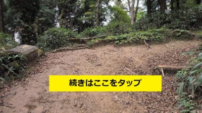 金剛山登山ルート（馬の背ルート）