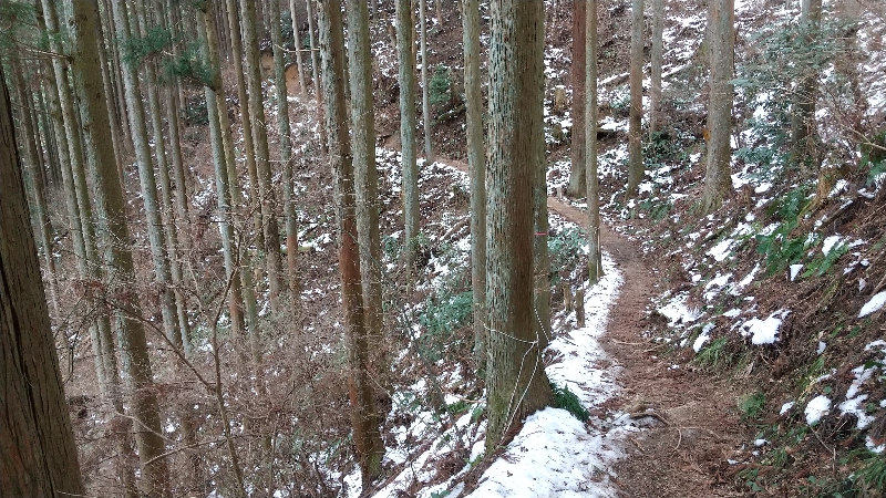 金剛山登山ルート（ダイアモンドトレール）