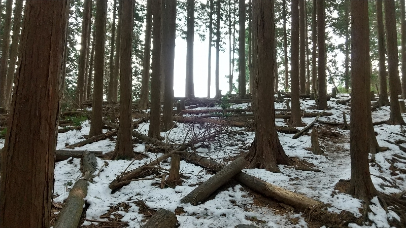 金剛山登山ルート（ダイアモンドトレール）
