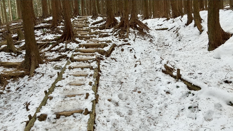 金剛山登山ルート（ダイアモンドトレール）