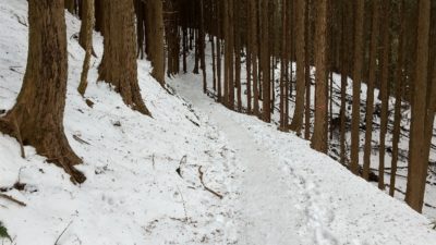金剛山登山ルート（ダイアモンドトレール）