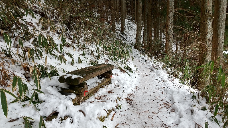 金剛山登山ルート（ダイアモンドトレール）