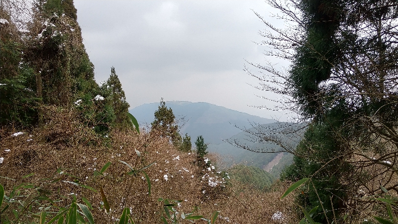 金剛山登山ルート（ダイアモンドトレール）