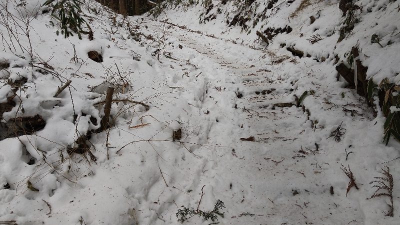 金剛山登山ルート（ダイアモンドトレール）