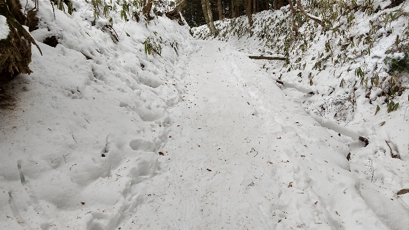金剛山登山ルート（ダイアモンドトレール）