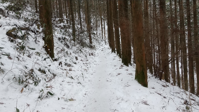 金剛山登山ルート（ダイアモンドトレール）