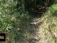 金剛山登山ルート（青崩道）