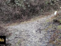 金剛山登山ルート（黒栂谷ルート）