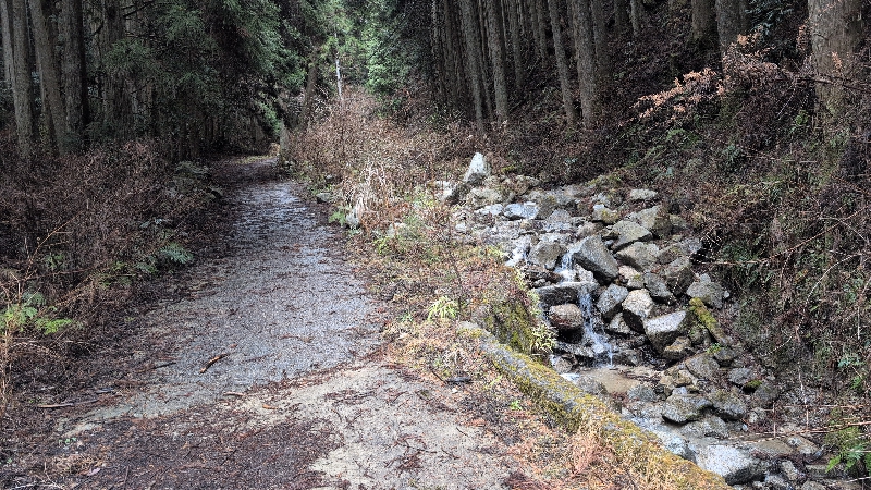 金剛山登山ルート（黒栂谷ルート）