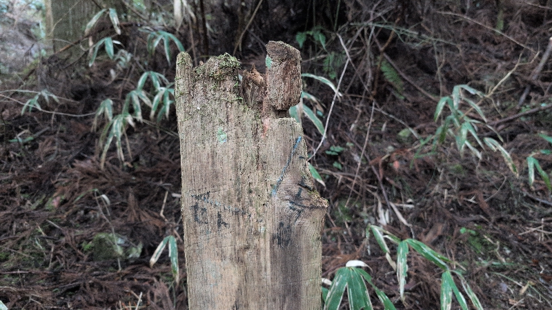 金剛山登山ルート（黒栂谷ルート）