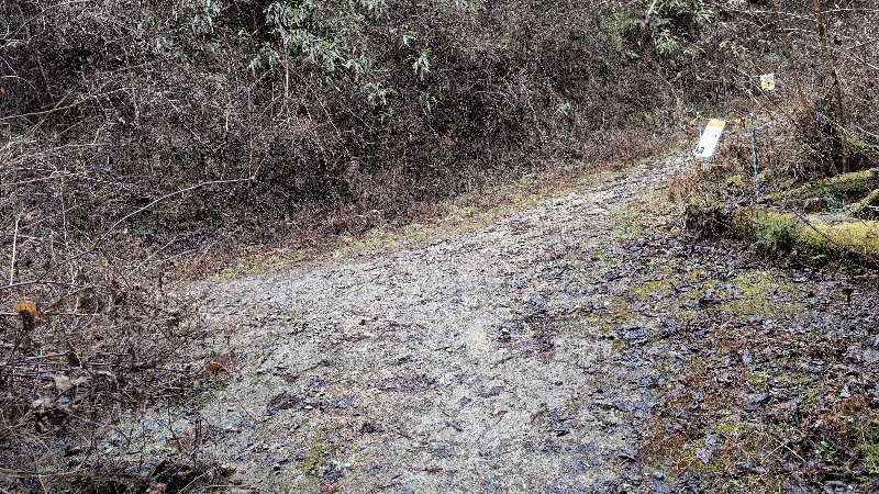 金剛山登山ルート（黒栂谷ルート）