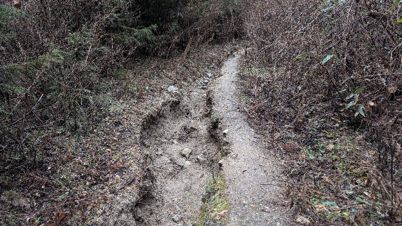 金剛山登山ルート（黒栂谷ルート）