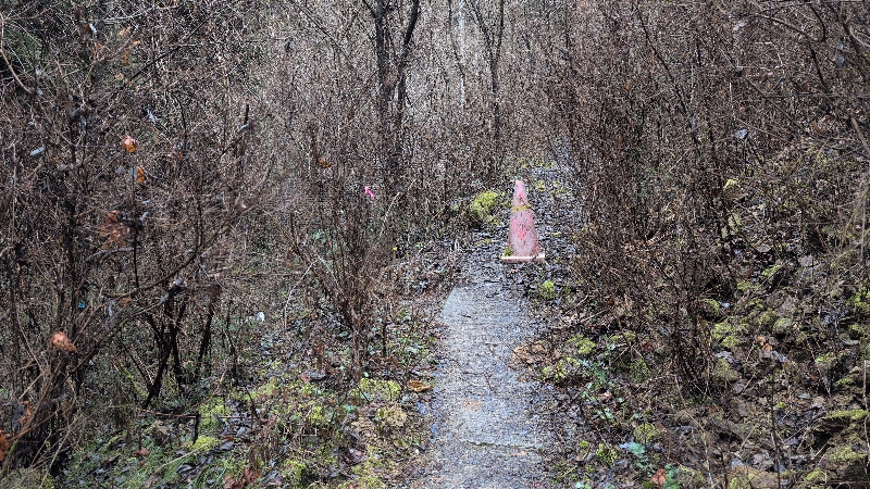 金剛山登山ルート（黒栂谷ルート）