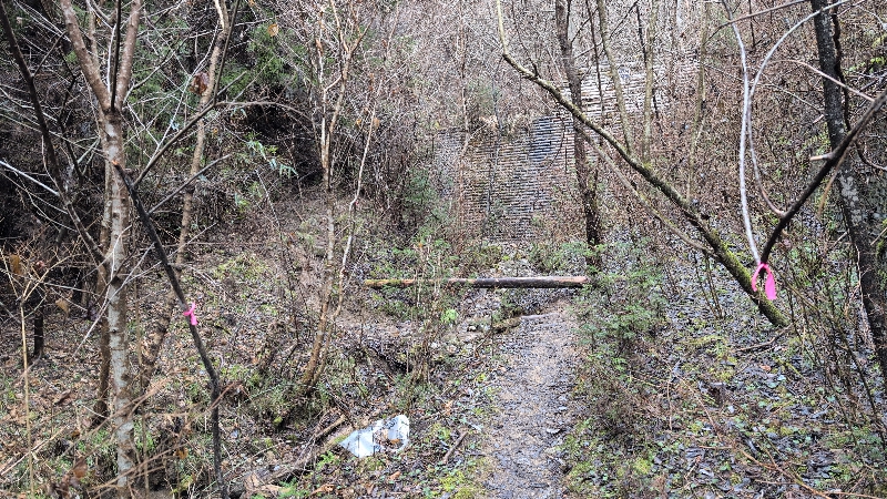 金剛山登山ルート（黒栂谷ルート）