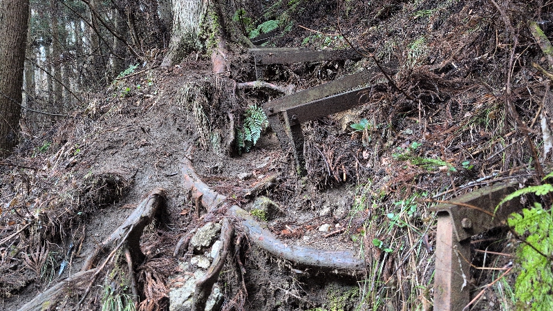 金剛山登山ルート（黒栂谷ルート）