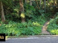 金剛山登山ルート（太尾東尾根ルート）