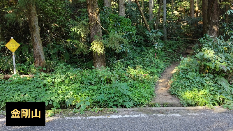 金剛山登山ルート(太尾東尾根ルート)