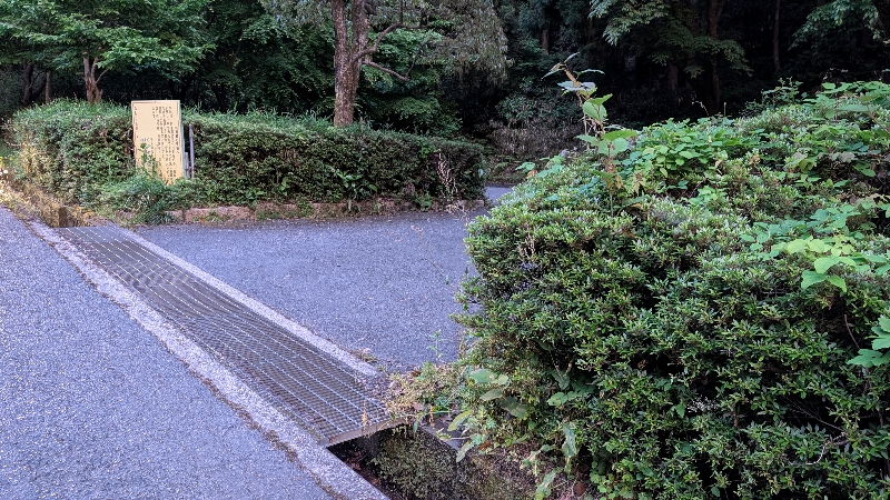 金剛山登山ルート(太尾東尾根ルート)