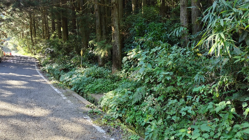 金剛山登山ルート(太尾東尾根ルート)