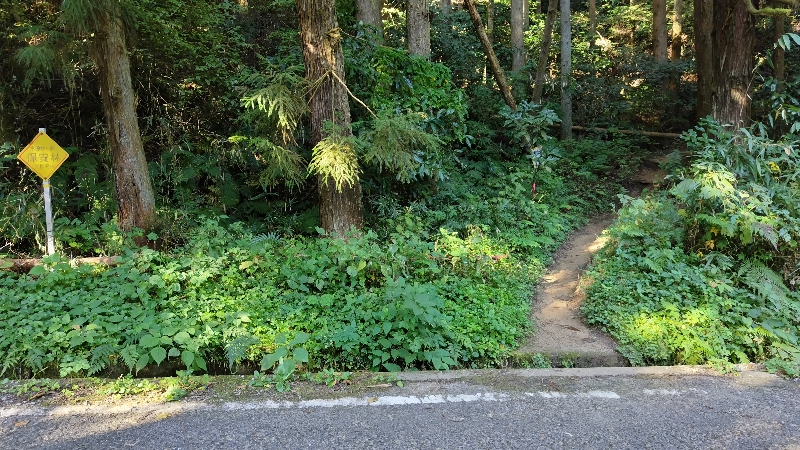 金剛山登山ルート(太尾東尾根ルート)