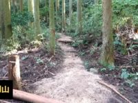 金剛山登山ルート（太尾西尾根ルート）