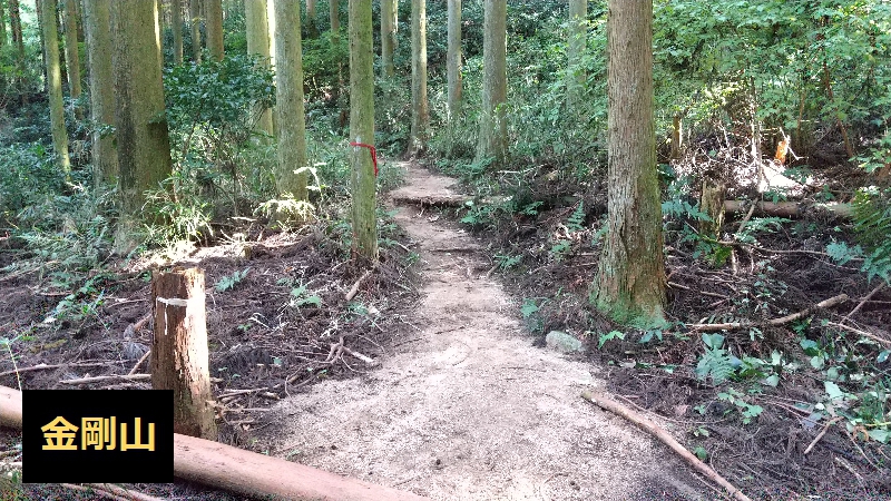 金剛山登山ルート（太尾西尾根ルート）