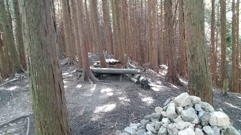 金剛山登山ルート（太尾西尾根ルート）