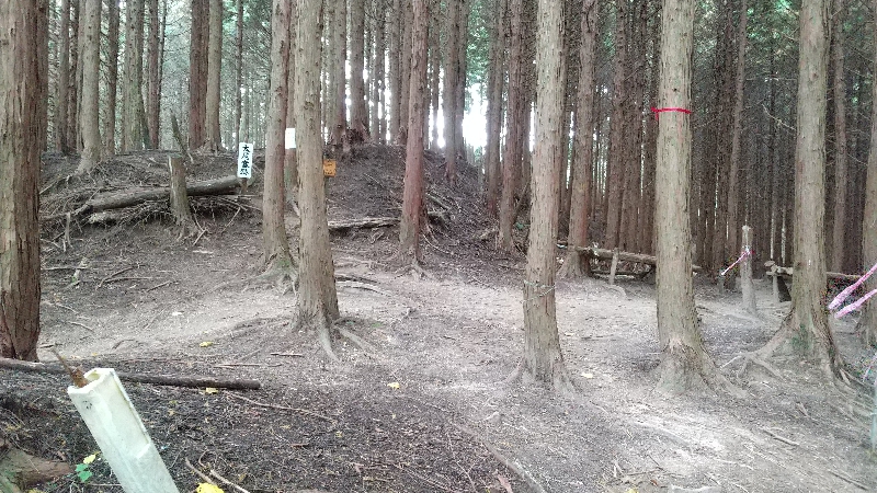 金剛山登山ルート（太尾西尾根ルート）