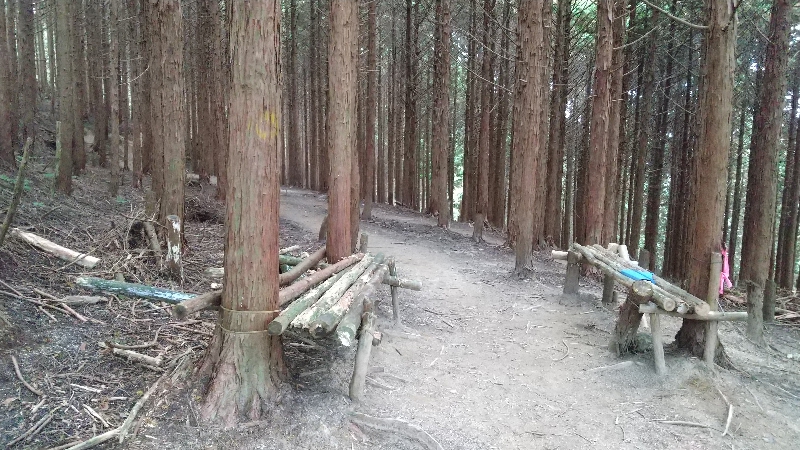 金剛山登山ルート（太尾西尾根ルート）