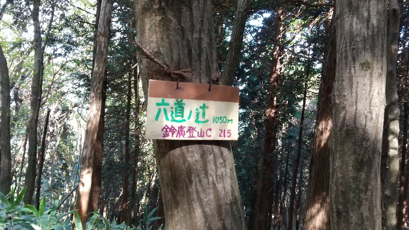 金剛山登山ルート（太尾西尾根ルート）