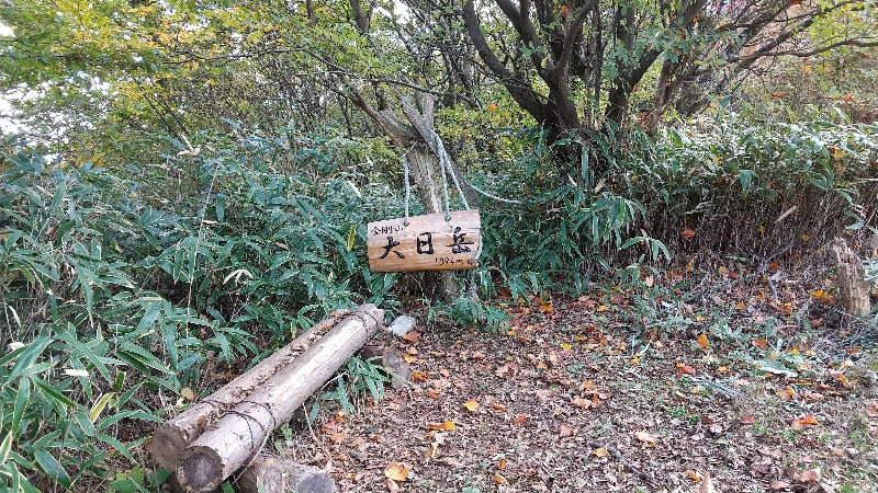 金剛山登山ルート（太尾西尾根ルート）